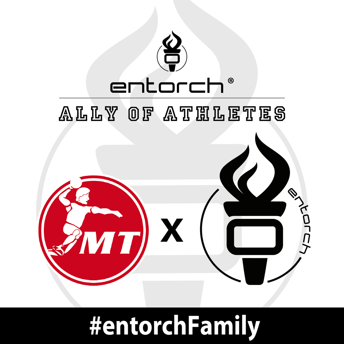 entorch neuer Partner der MT Melsungen im Bereich Recovery & Protection
